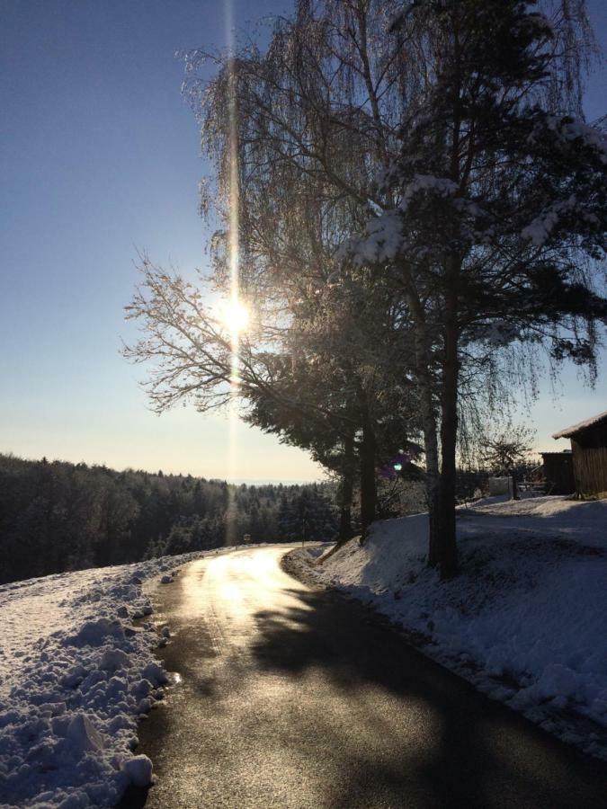 Nikolaier Weinblick - Ferienwohnung Muskateller Sankt Nikolai ob Draßling Exterior foto